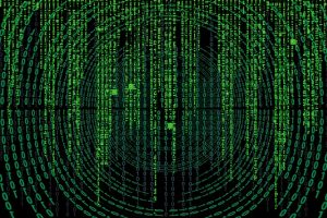 Cosa fa una software house? Scopri il ruolo e i servizi di una società di sviluppo software