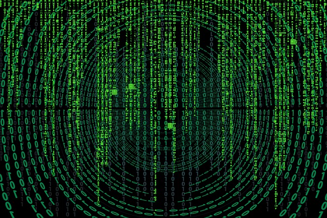 Cosa fa una software house? Scopri il ruolo e i servizi di una società di sviluppo software