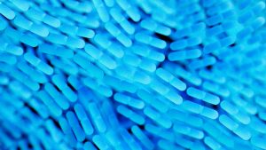 Tutte le caratteristiche dei fluoropolimeri